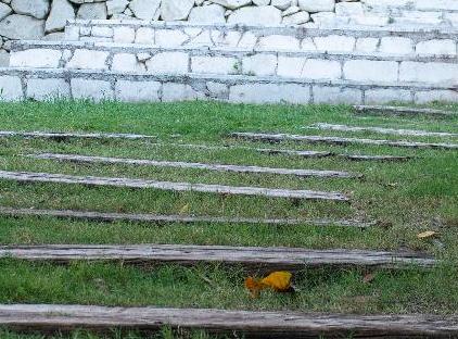 Trinitys Forest Bungalows تورنگار