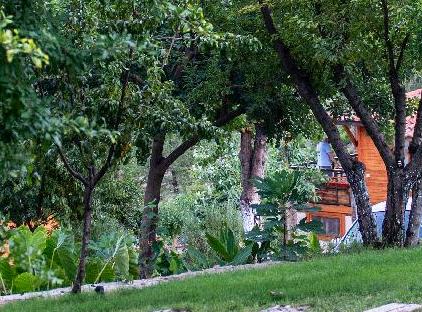 Trinitys Forest Bungalows تورنگار