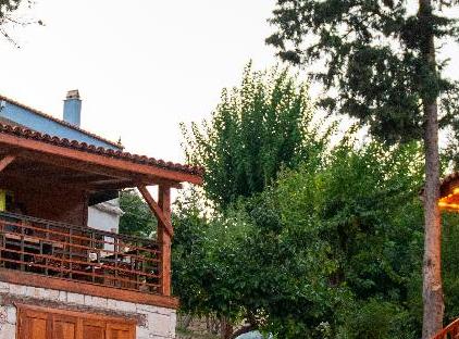 Trinitys Forest Bungalows تورنگار