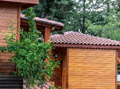 Trinitys Forest Bungalows تورنگار