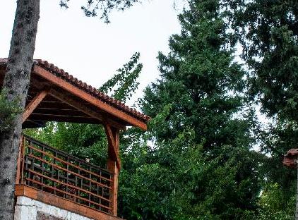 Trinitys Forest Bungalows تورنگار