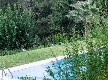 Trinitys Forest Bungalows تورنگار