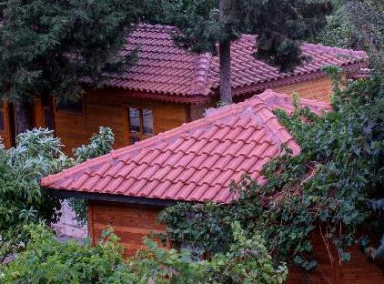 Trinitys Forest Bungalows تورنگار