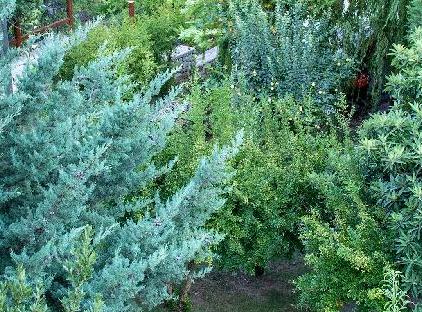 Trinitys Forest Bungalows تورنگار