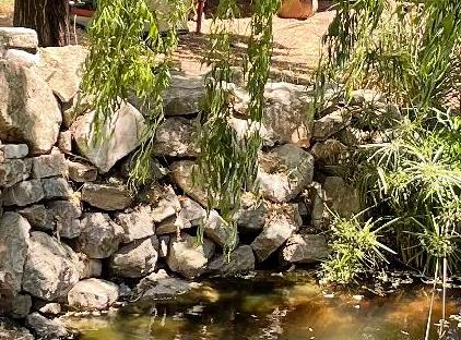 Trinitys Forest Bungalows تورنگار