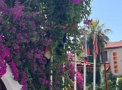 Palma Rosa Hotel تورنگار