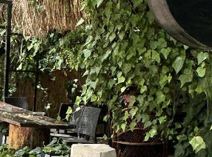 OLİMPOS MERCAN BUNGALOW تورنگار