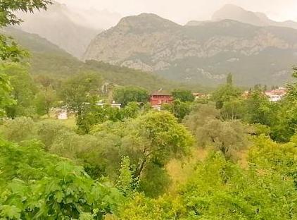Pasa Restaurant & Pansiyon تورنگار