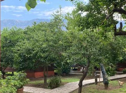 Plaj Hotel تورنگار