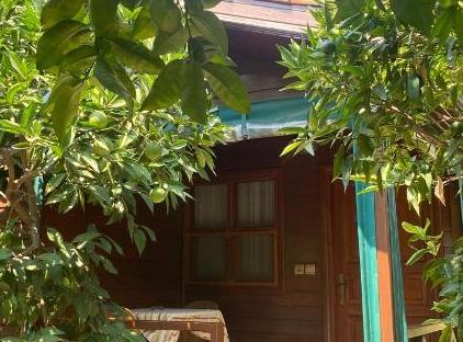 Plaj Hotel تورنگار