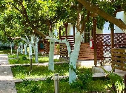 Safir Pansiyon تورنگار