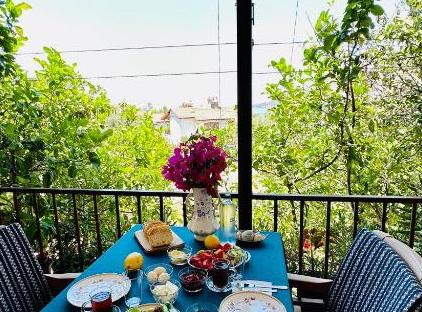 Gelidonya Pansiyon تورنگار
