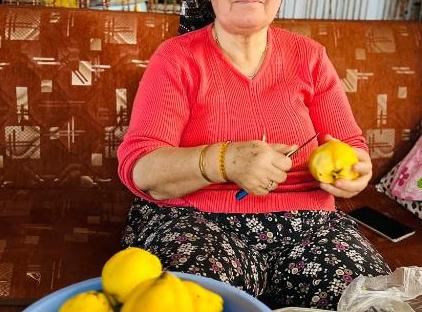 Gelidonya Pansiyon تورنگار