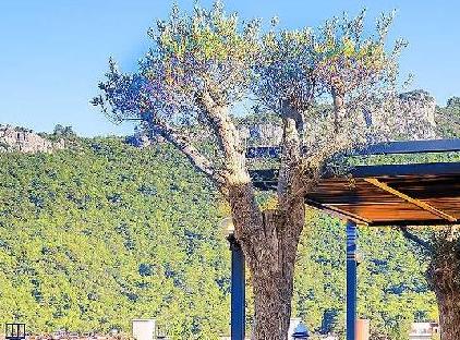 Imperial Turkiz Resort Hotel & SPA تورنگار