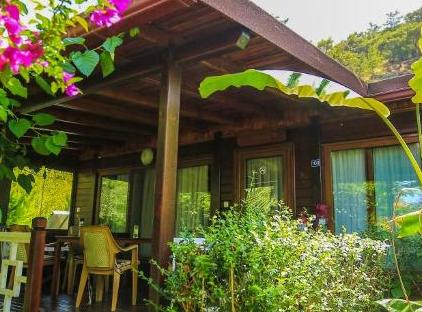 Cıralı Villa Zeytin تورنگار