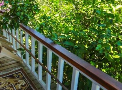 Cıralı Villa Zeytin تورنگار