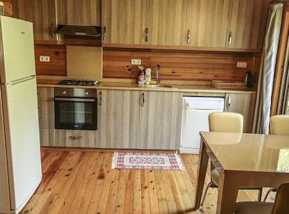 Cıralı Villa Zeytin تورنگار