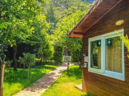 Cıralı Villa Zeytin تورنگار