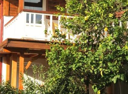 Cıralı Villa Zeytin تورنگار