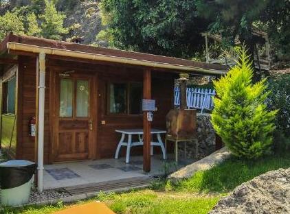 Cıralı Villa Zeytin تورنگار