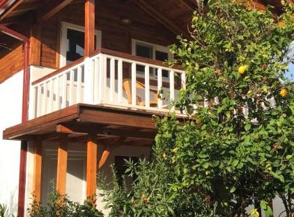 Cıralı Villa Zeytin تورنگار