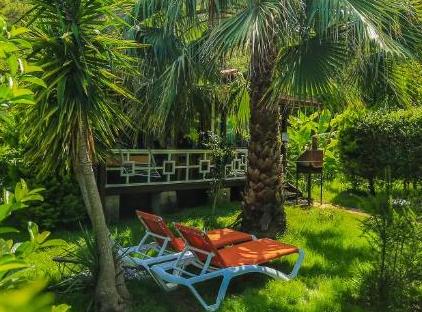 Cıralı Villa Zeytin تورنگار