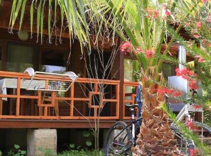 Cıralı Villa Zeytin تورنگار