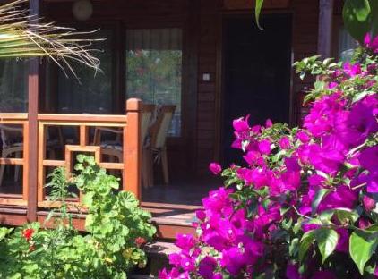 Cıralı Villa Zeytin تورنگار
