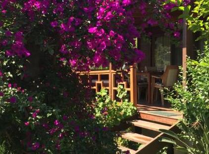 Cıralı Villa Zeytin تورنگار
