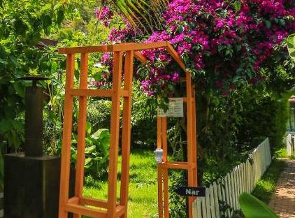 Cıralı Villa Zeytin تورنگار