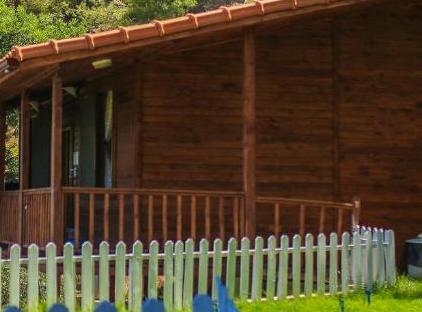Cıralı Villa Zeytin تورنگار