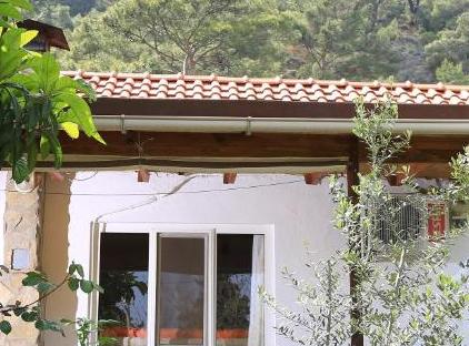 Cıralı Villa Zeytin تورنگار
