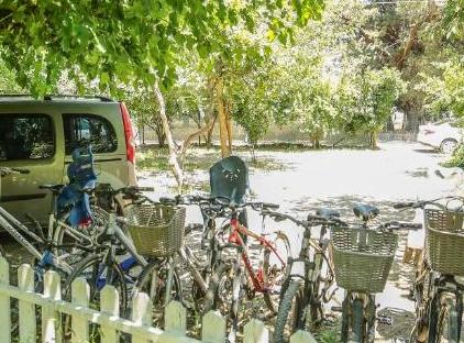 Cıralı Villa Zeytin تورنگار