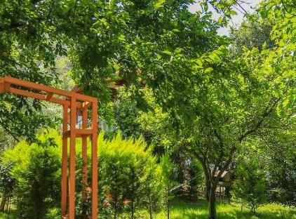 Cıralı Villa Zeytin تورنگار