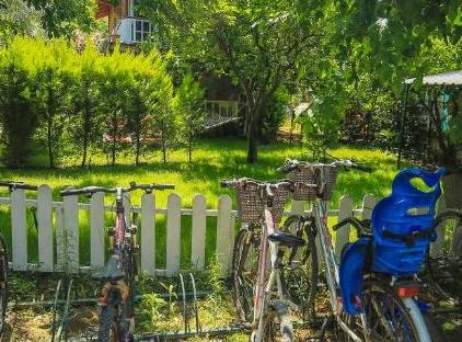 Cıralı Villa Zeytin تورنگار