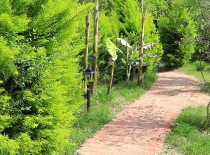 Cıralı Villa Zeytin تورنگار