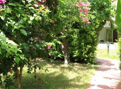 Cıralı Villa Zeytin تورنگار