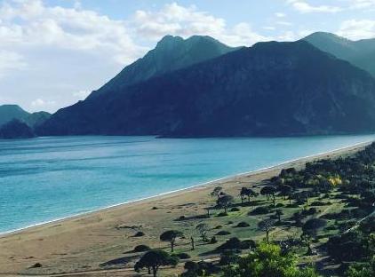 Cıralı Villa Zeytin تورنگار
