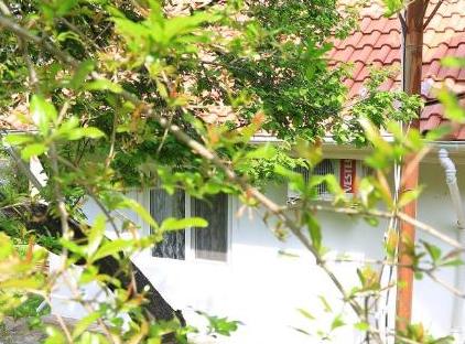 Cıralı Villa Zeytin تورنگار
