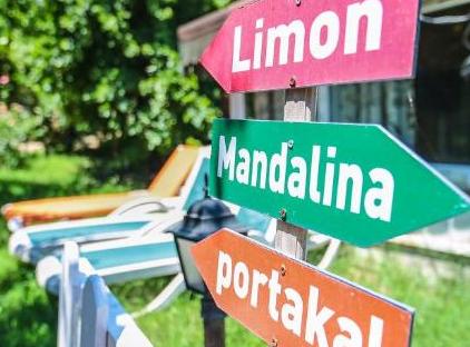 Cıralı Villa Zeytin تورنگار