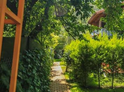 Cıralı Villa Zeytin تورنگار