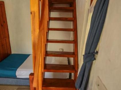 Cıralı Villa Zeytin تورنگار