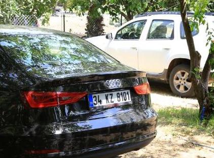 Cıralı Villa Zeytin تورنگار