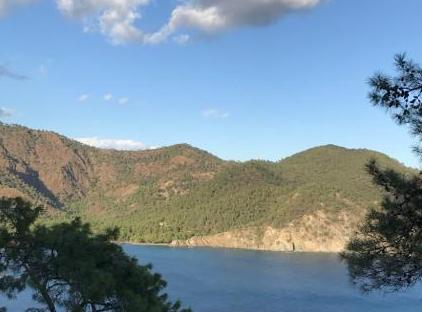 Cıralı Villa Zeytin تورنگار