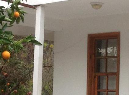 rosery karakalem bungalow evleri تورنگار