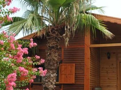 Anatolia Resort تورنگار