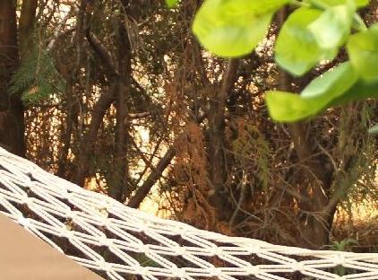 Anatolia Resort تورنگار