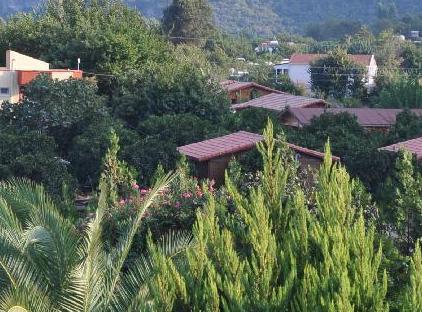Anatolia Resort تورنگار