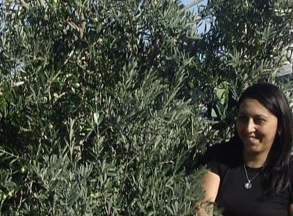 Anatolia Resort تورنگار