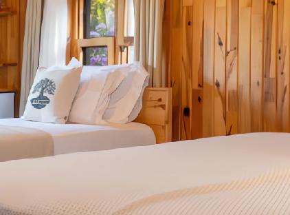 Etenna Bungalow Hotel تورنگار
